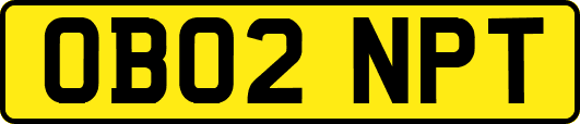 OB02NPT