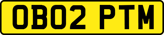 OB02PTM