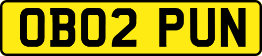 OB02PUN