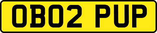OB02PUP