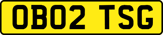 OB02TSG