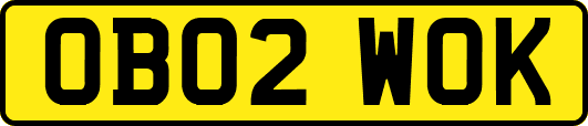 OB02WOK