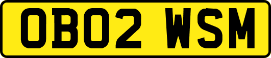 OB02WSM
