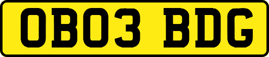 OB03BDG