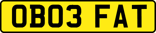 OB03FAT