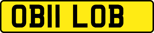 OB11LOB