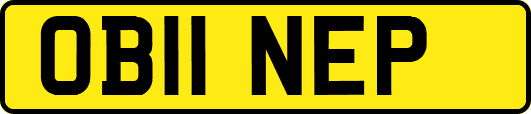 OB11NEP