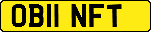 OB11NFT