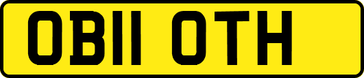 OB11OTH