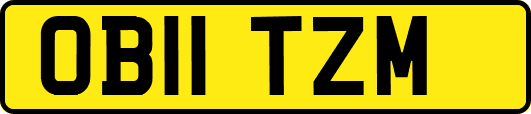 OB11TZM