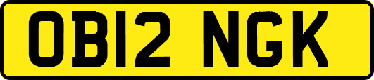 OB12NGK