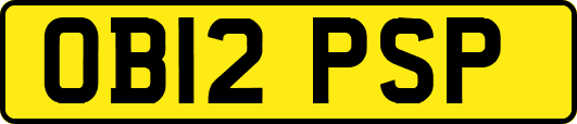 OB12PSP