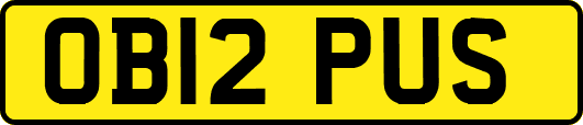 OB12PUS