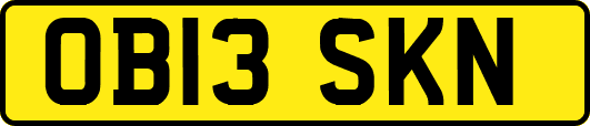 OB13SKN