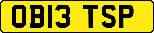 OB13TSP