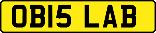 OB15LAB