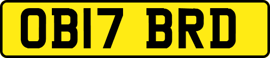 OB17BRD