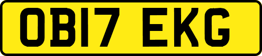 OB17EKG