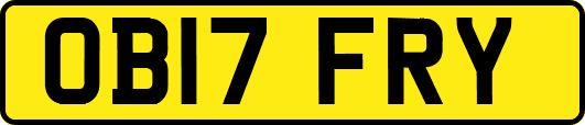 OB17FRY