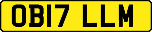 OB17LLM
