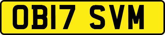 OB17SVM
