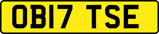 OB17TSE