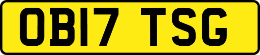 OB17TSG