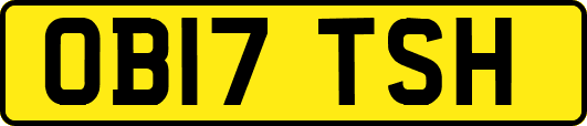 OB17TSH