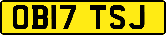 OB17TSJ