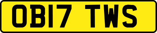 OB17TWS