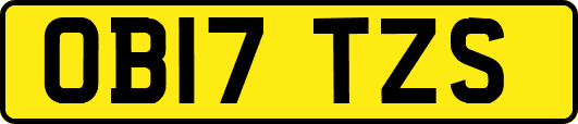 OB17TZS