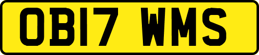 OB17WMS