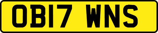 OB17WNS