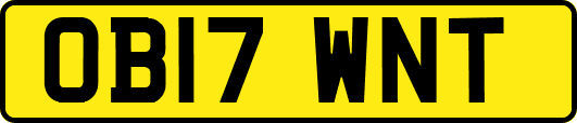 OB17WNT