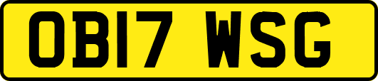 OB17WSG