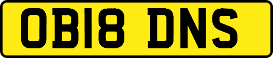 OB18DNS