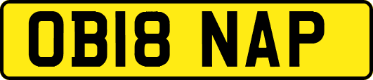 OB18NAP