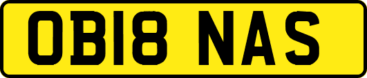 OB18NAS
