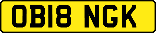 OB18NGK