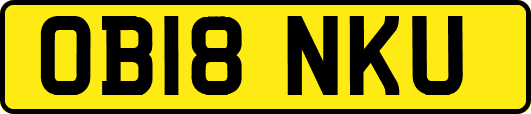 OB18NKU