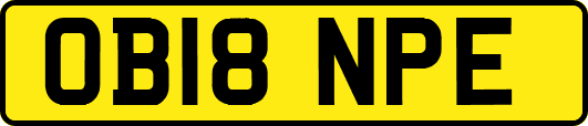 OB18NPE