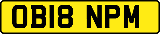 OB18NPM