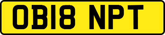 OB18NPT