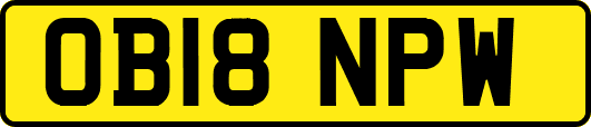 OB18NPW