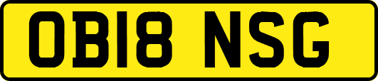 OB18NSG