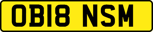OB18NSM