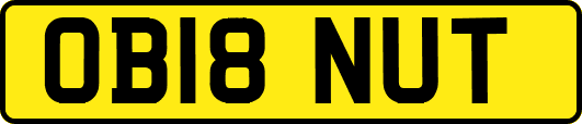 OB18NUT