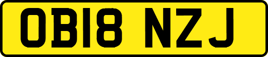 OB18NZJ