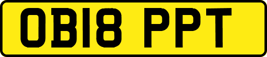 OB18PPT