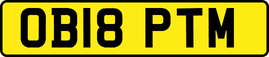 OB18PTM